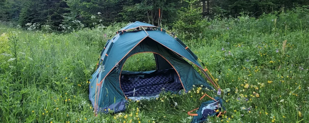 tente installé dans des herbes hautes bien verte 
