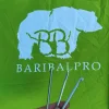 Logo baribal et sardine tente baribal v2