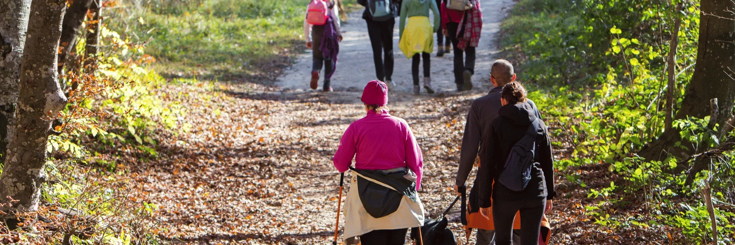 Groupe de trekkeurs marchant sur un sentier forestier, équipement adapté pour éviter les maladies en trek