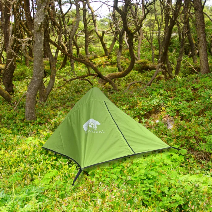 Tente baribal installé dans une foret bien verte