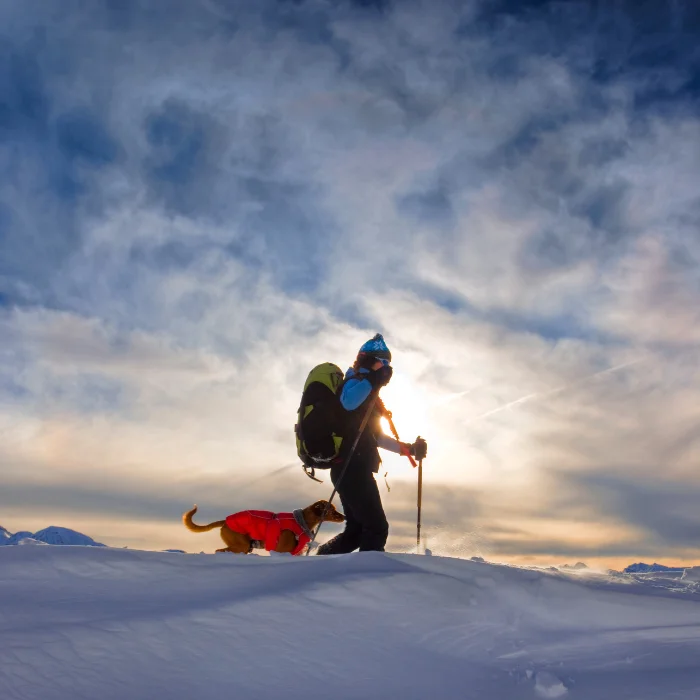 Un randonneur avec son chien explore un paysage enneigé au lever du soleil, bien équipé pour un bivouac hivernal sécurisé. Une scène inspirante pour tous les amateurs d’aventure en pleine nature.