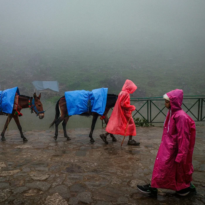 Personnes marchant sous la pluie en montagne avec un poncho imperméable, accompagnées de mules portant des charges couvertes.