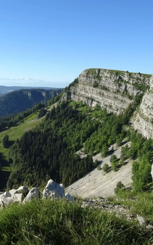 Cretes du morond