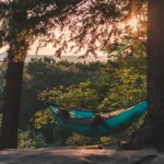 Personne dans sont hamac bleu installé entre deux jolis arbres