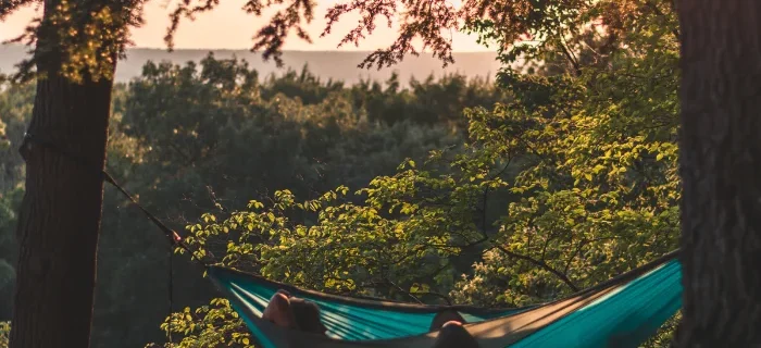 Personne dans sont hamac bleu installé entre deux jolis arbres