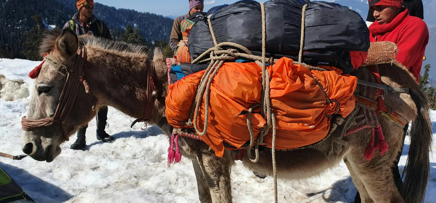 un âne chargé avec des sac dans les montagnes