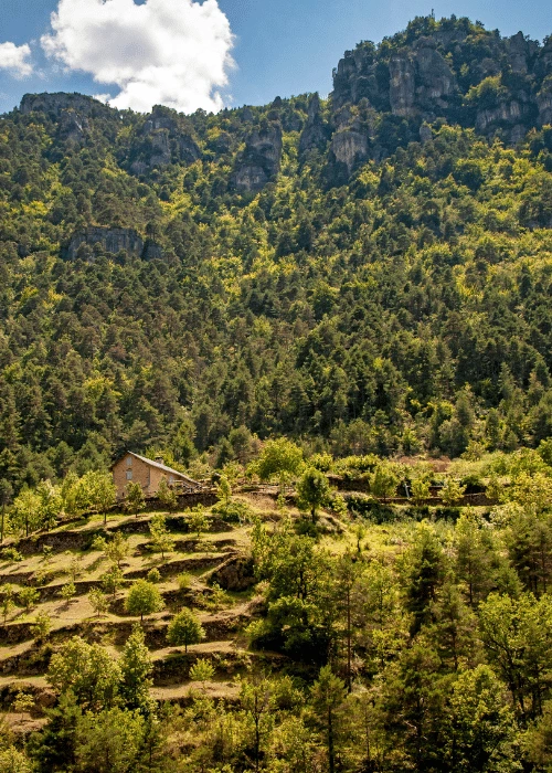 Cevenne paysage pour camper et bivouaquer