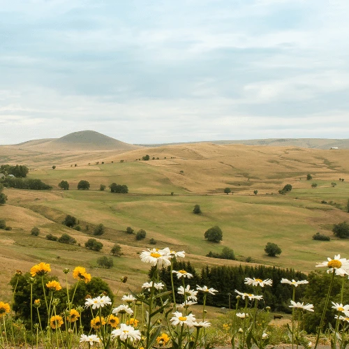 Cezallier bivouac baribal