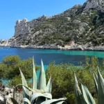on voit une calanque, avec au fond la cote et de l'aloe vera