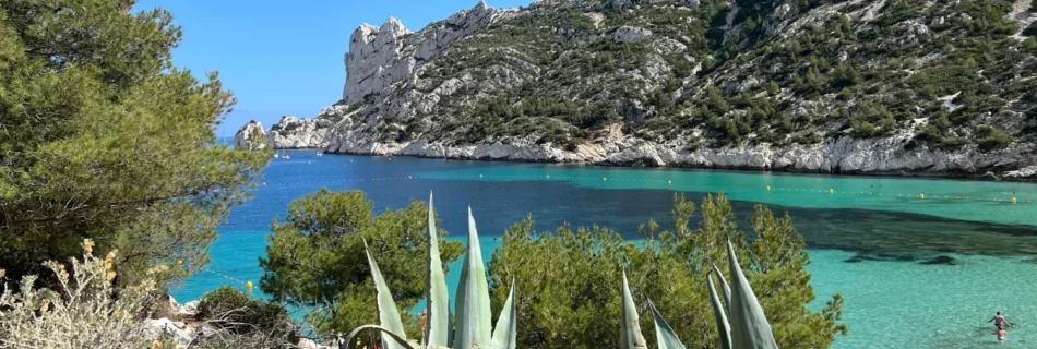 on voit une calanque, avec au fond la cote et de l'aloe vera