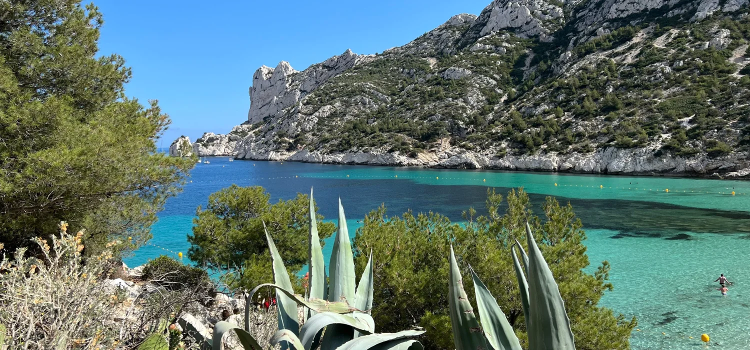 on voit une calanque, avec au fond la cote et de l'aloe vera