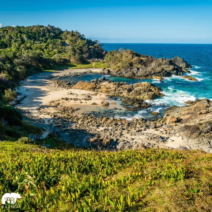 Calanque ou ce rencontre verdure et mer bleu