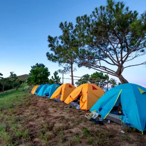 des tentes rapide à ranger aligné dans un champs