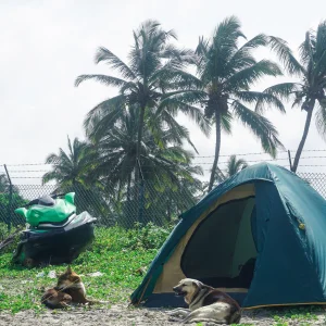 tente facile à monter à coté d'un jet ski vec en fond des palmiers et la mer