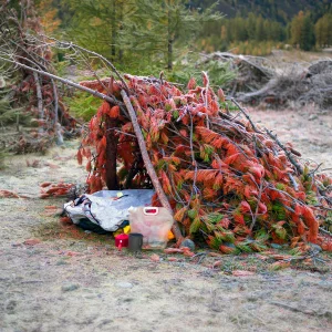 Abris de fortune fait à base de feuille et de branche.