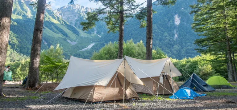 plusieurs tente de différent modèle installé en foret