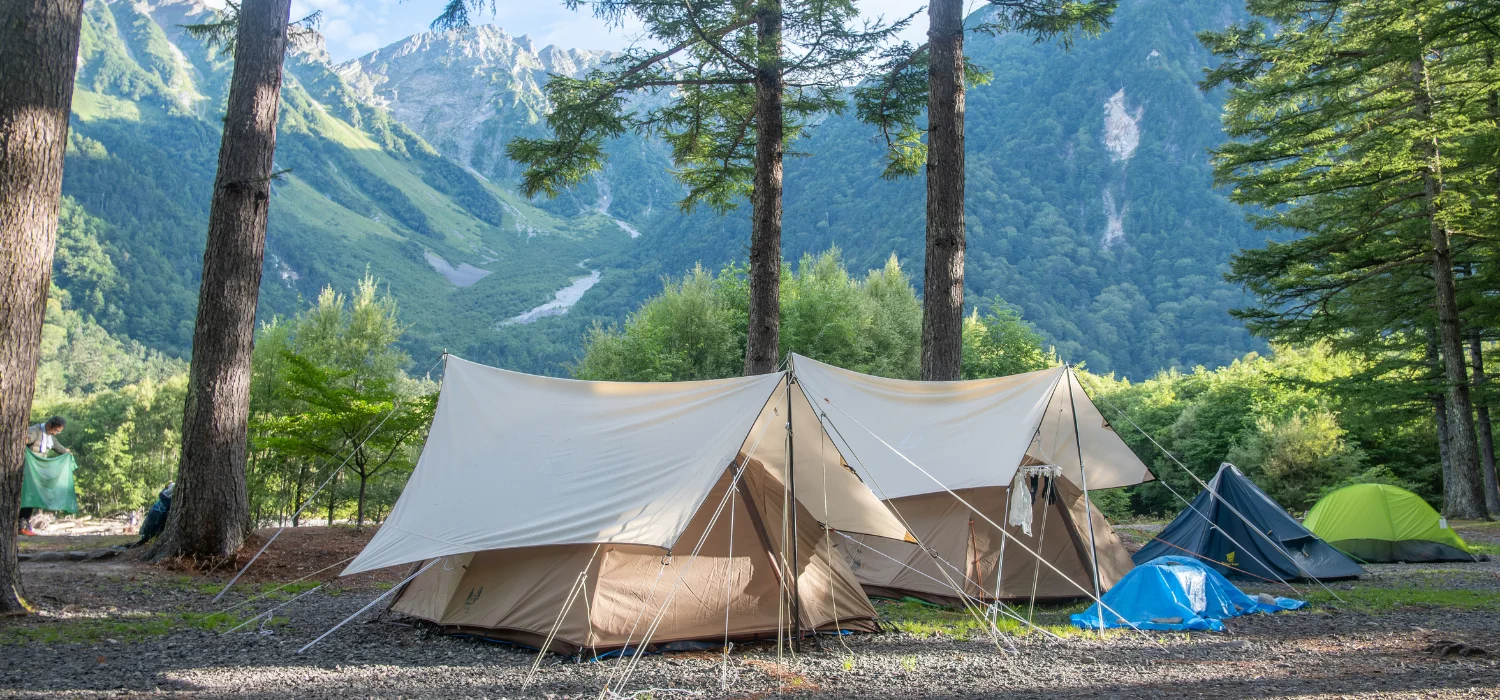 plusieurs tente de différent modèle installé en foret
