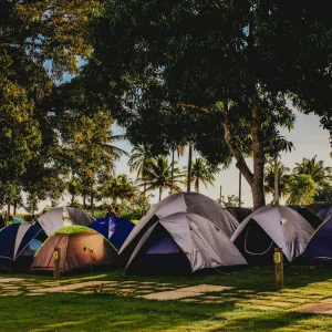 plein de tente à l'ombre de palmier pour des vacances en tente