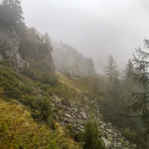 foret de montagne sous la pluie pour bivouaquer