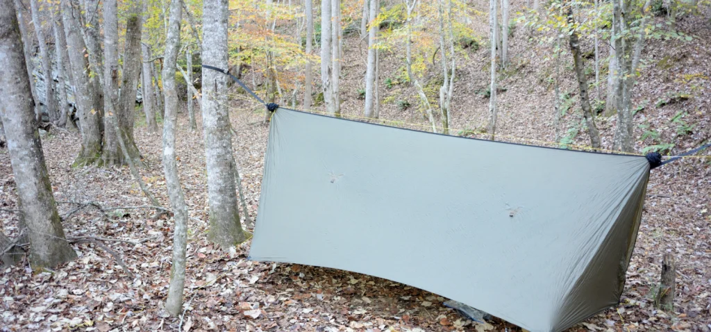 tarp installé dans une foret